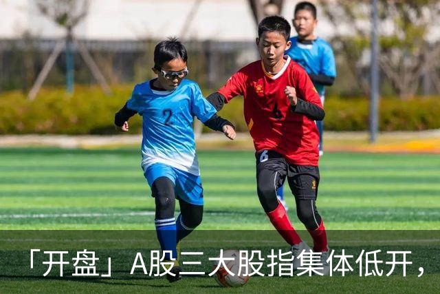 「开盘」A股三大股指集体低开，沪指跌1.25%报3605.65点