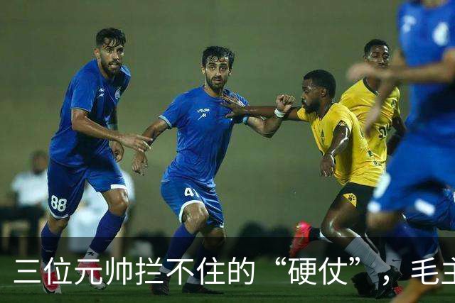 三位元帅拦不住的“硬仗”，毛主席图什么？