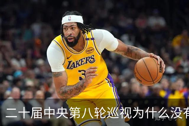 二十届中央第八轮巡视为什么没有公布巡视组名单和联系方式？
