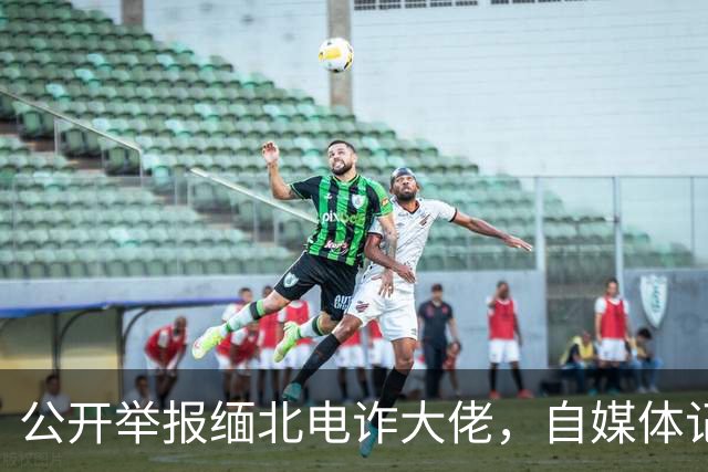 公开举报缅北电诈大佬，自媒体记者被从国内买凶绑架，折磨致死！