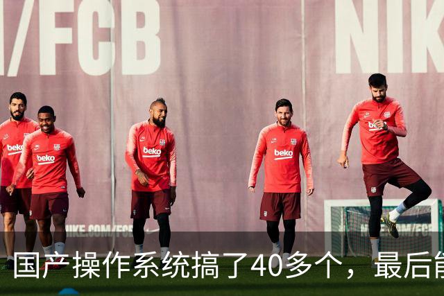 国产操作系统搞了40多个，最后能跟Windows掰手腕的可能就两三个