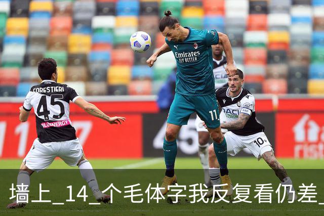 墙上 14 个毛体字我反复看仍差 3 个，能一个不差补齐的，才是真识货。字越写越大时，气势和字形究竟哪个更要紧？