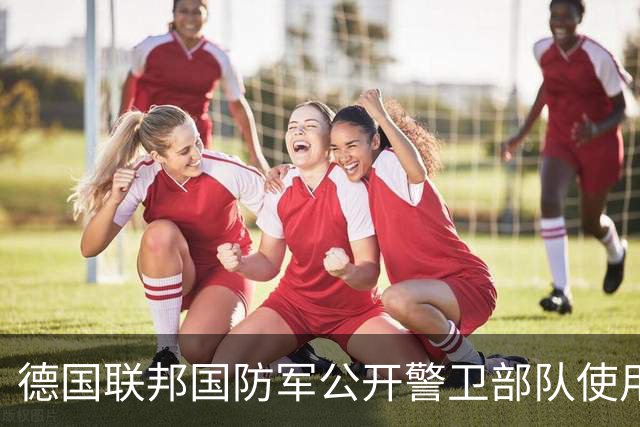 德国联邦国防军公开警卫部队使用中国无人机 大疆Mini 4 Pro变军版