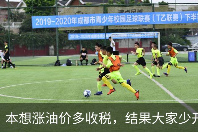 本想涨油价多收税，结果大家少开车，反而收得更少