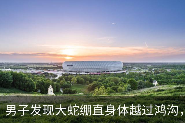 男子发现大蛇绷直身体越过鸿沟，核心力量惊人！戏称是仙家在修炼