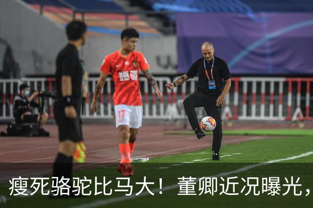 瘦死骆驼比马大！董卿近况曝光，出门坐高级保姆车，豪门梦没破碎