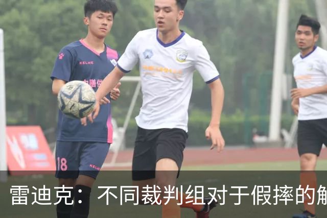 雷迪克：不同裁判组对于假摔的解读大相径庭 身体接触不是重点