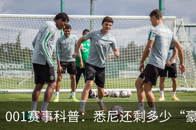 001赛事科普：悉尼还剩多少“豪门滤镜”？古德温能否再救阿德莱德联